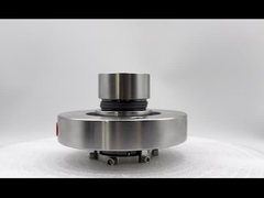 Силиконовый карбидный картридж Механическая уплотнение с вторичной уплотнением KALREZ и диаметром вала 20-100MM